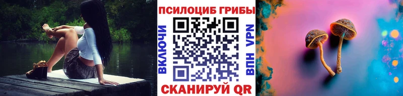 Галлюциногенные грибы Psilocybe  Белая Калитва 